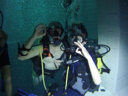 20230303 Nemo 33